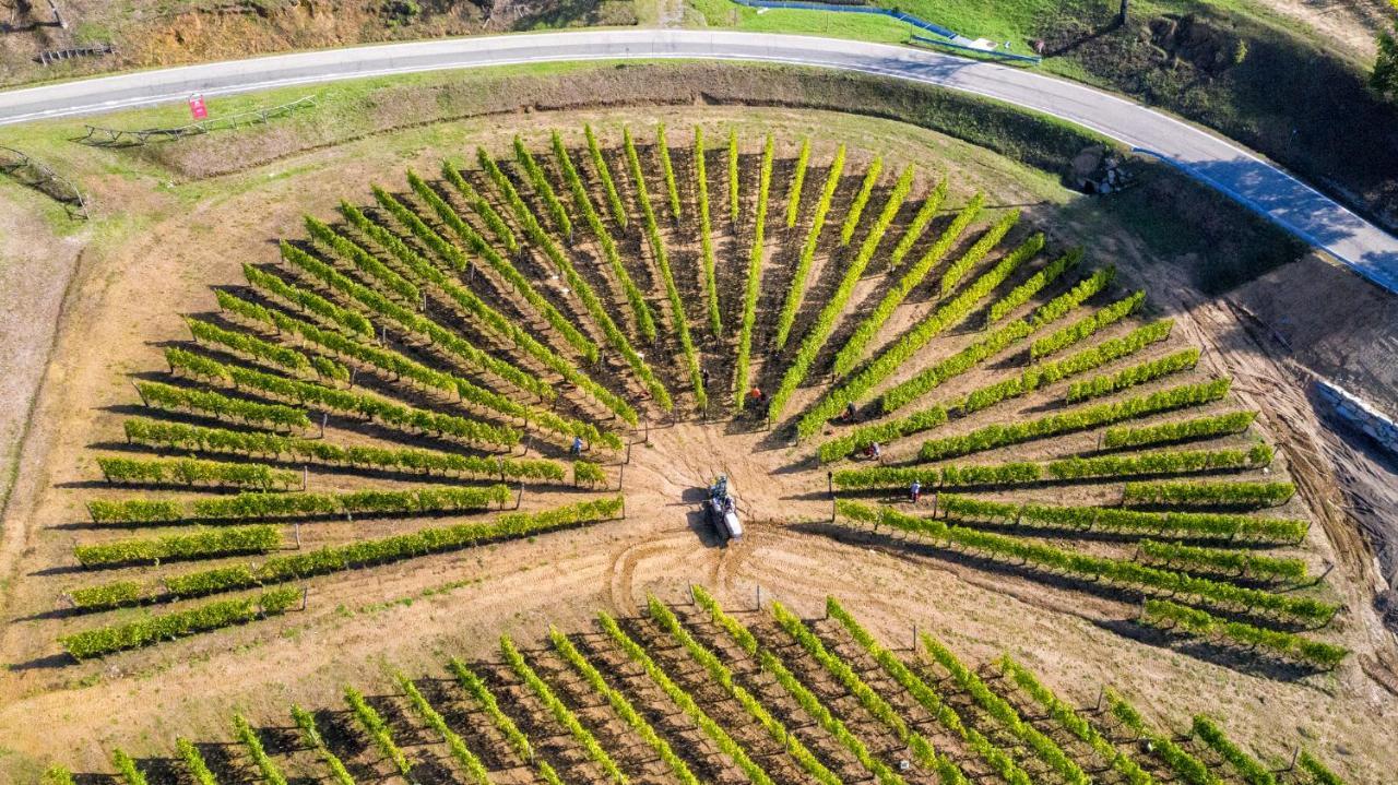 Cascina Bine Villa Novi Ligure Bagian luar foto
